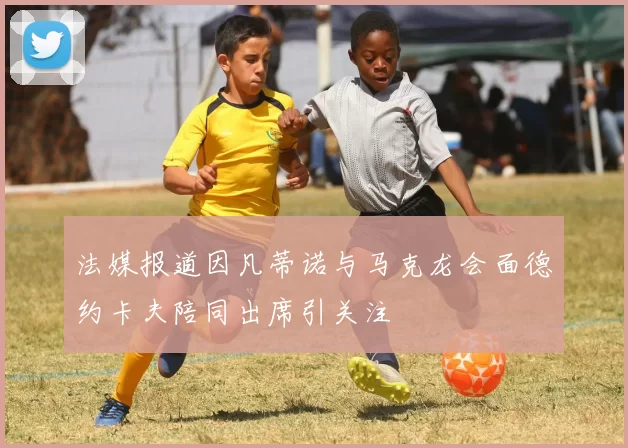 法媒报道因凡蒂诺与马克龙会面德约卡夫陪同出席引关注