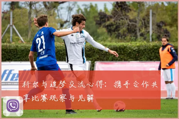 科尔与追梦交流心得：携手合作共享比赛观察与见解